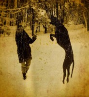 /album/fotogalerie-unsere-blauen-edeldoggen1/doggen-crew-112-jpg/